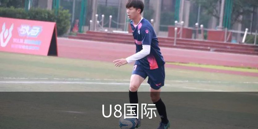 关于U8国际